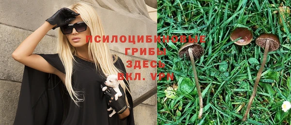ALPHA PVP Алексин