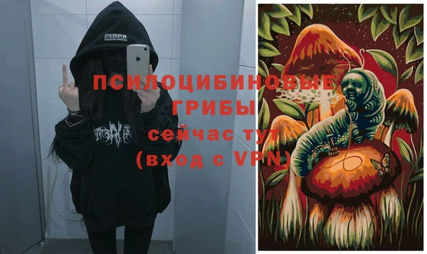 spice Алексеевка